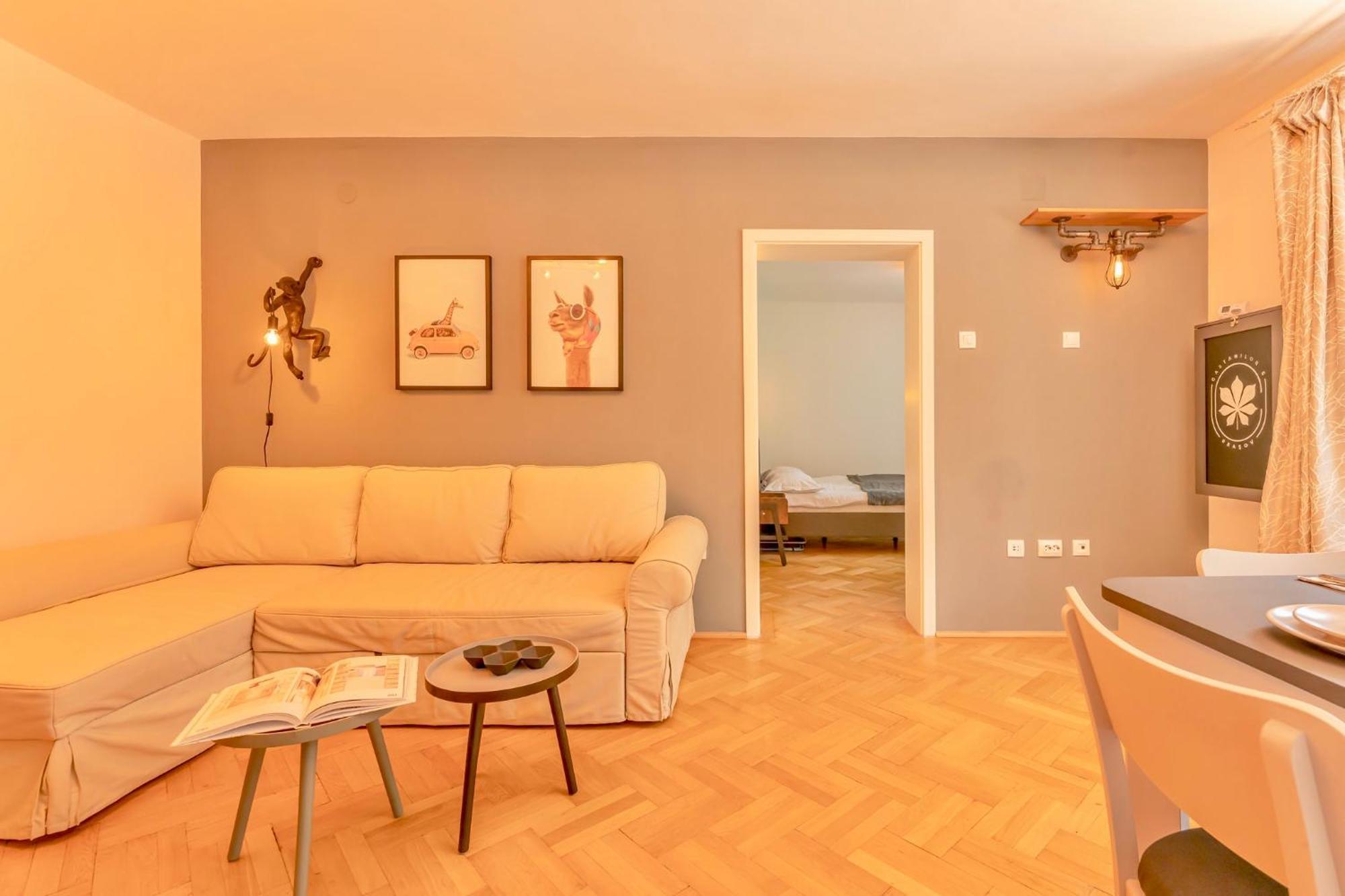 Castanilor 6 - Hip Industrial Apartment Close To City Centre 브라쇼브 외부 사진